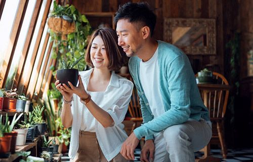 Comfort Life Deferred Annuity Plan